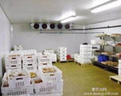 深耕冷鏈科技，守護(hù)海鮮鮮活——大連生鮮冷庫安裝·維修·銷售·電子設(shè)備工程一站式服務(wù)